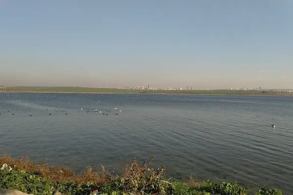 Arda Firüzköy Aile Piknik Alanı - Resim 5