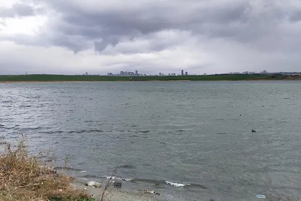 Arda Firüzköy Aile Piknik Alanı - Resim 3