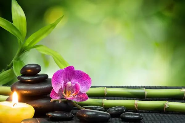 Esen Spa ve Masaj Salonu - Resim 3