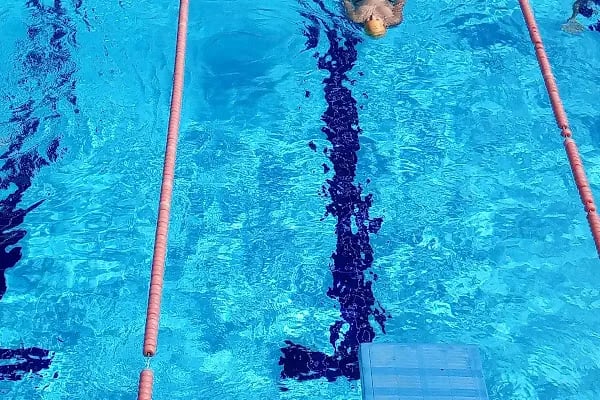 Bursa Büyükşehir Belediyesi Gençlik ve spor Hizmetleri Dairesi Başkanlığı Fethiye Yüzme Havuzu - Resim 9