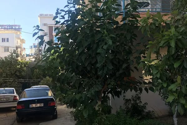 Enişte Apart - Resim 6