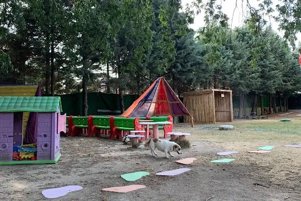 Çerkezköy Özel Park Orman Çocuk Koleji Anaokulu - Resim 5