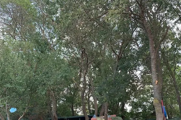 Çerkezköy Özel Park Orman Çocuk Koleji Anaokulu - Resim 4