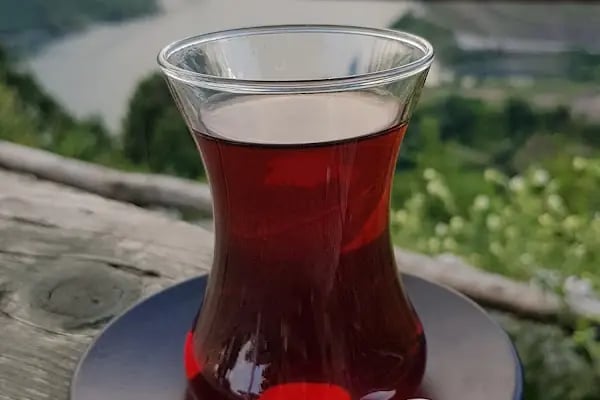Yuvacık Barajı - Resim 10
