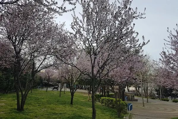 Yeni Şehir Korusu - Resim 3