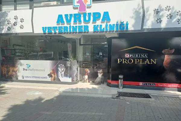 AVRUPA VETERİNER KLİNİĞİ - Resim 13