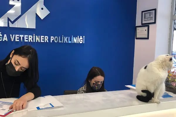 Bornova Doğa Veteriner Polikliniği - Resim 2
