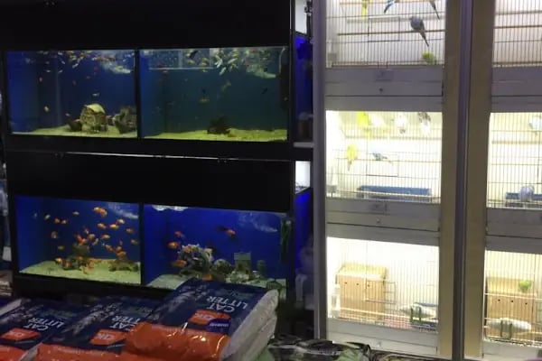canyon pet center - Resim 9