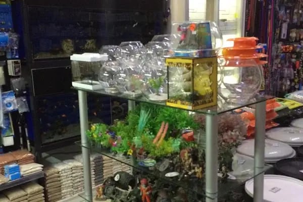 canyon pet center - Resim 4