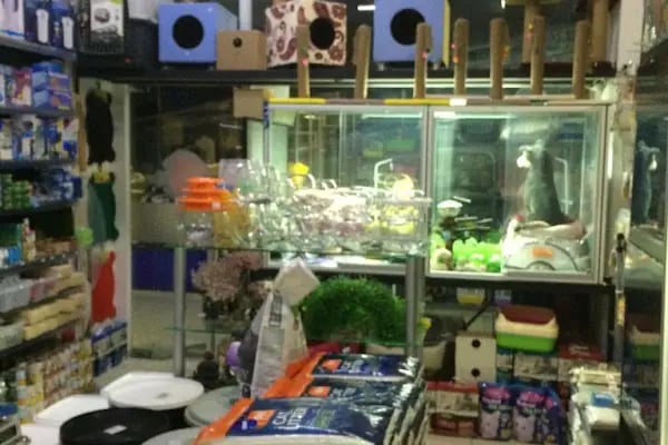 canyon pet center - Resim 7