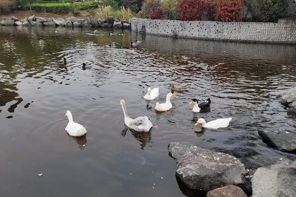 Atatürk Parkı Balıkesir - Resim 20