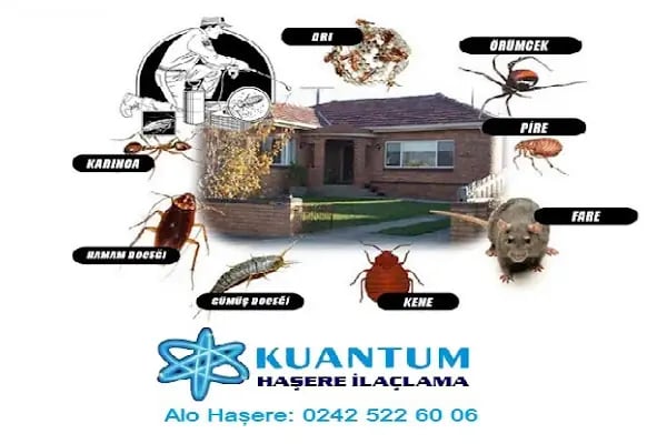 Kuantum Haşere İlaçlama - Resim 18