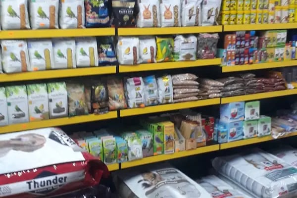 YAPRACIK ATAYURT PET SHOP - Resim 9
