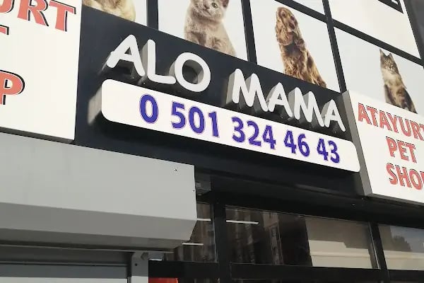 YAPRACIK ATAYURT PET SHOP - Resim 4