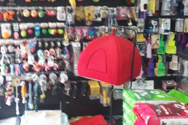 YAPRACIK ATAYURT PET SHOP - Resim 3