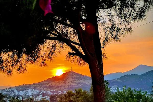 Rasattepe Sitesi - Resim 16