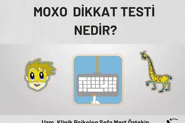 Uzm. Klinik Psikolog Sefa Mert Öztekin - Luna Psikoloji - Manavgat Psikolog - Resim 14
