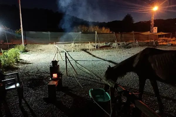 Horse &amp; Dog Academy - Mersin Silifke At Çiftliği, Köpek Oteli ve Kahvaltı - Resim 12