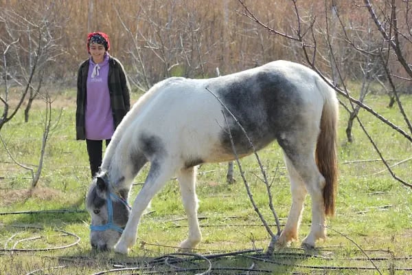 Horse &amp; Dog Academy - Mersin Silifke At Çiftliği, Köpek Oteli ve Kahvaltı - Resim 10