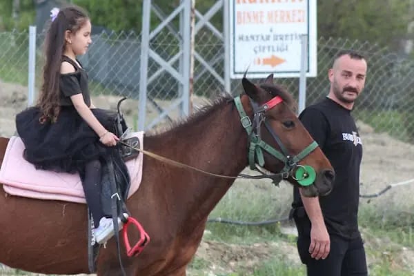 Horse &amp; Dog Academy - Mersin Silifke At Çiftliği, Köpek Oteli ve Kahvaltı - Resim 19
