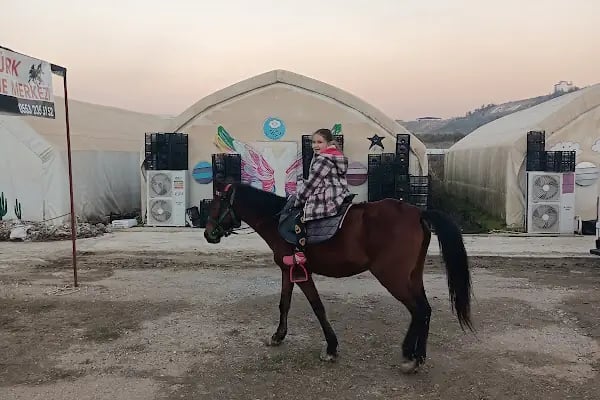 Horse &amp; Dog Academy - Mersin Silifke At Çiftliği, Köpek Oteli ve Kahvaltı - Resim 20