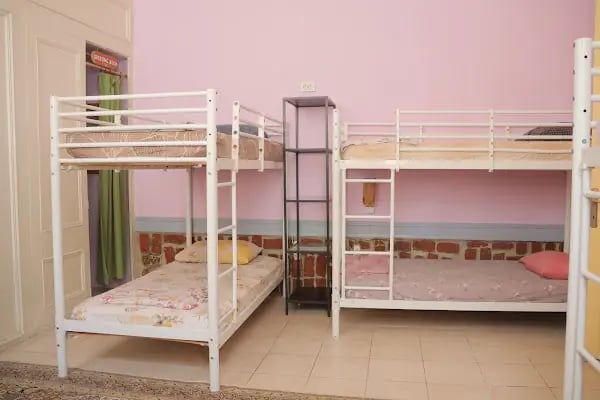 Lotus Garden Hostel - Resim 4