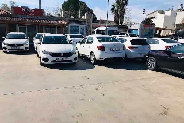 Tesla Rent A Car - Resim 6