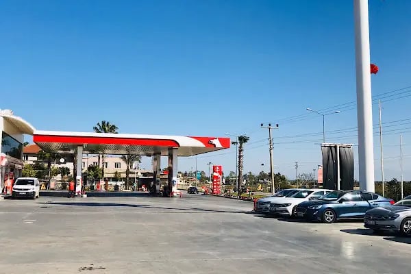 Tesla Rent A Car - Resim 5