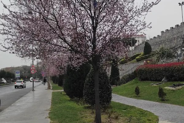 Şelale Parkı - Resim 4