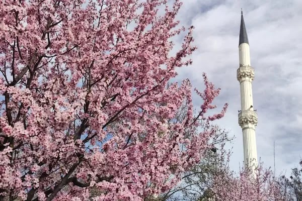 TOPÇUOĞLU CAMİİ - Resim 4