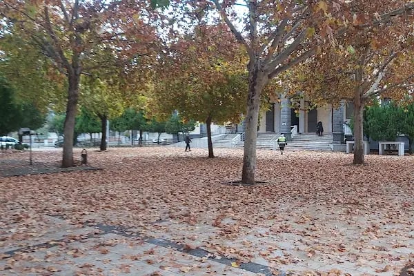 TOPÇUOĞLU CAMİİ - Resim 7
