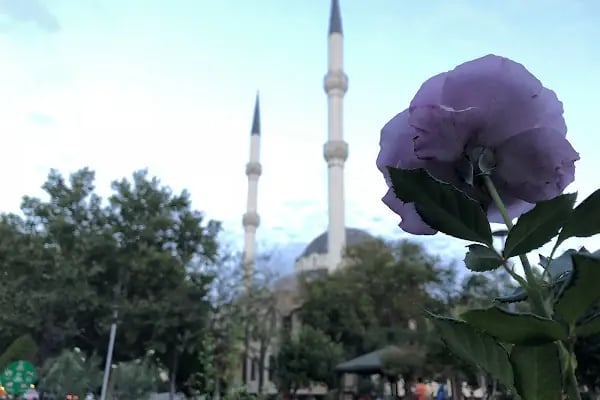TOPÇUOĞLU CAMİİ - Resim 14