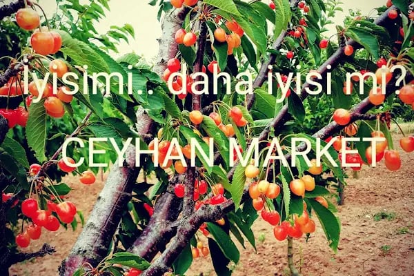 Ceyhan Market - Resim 2