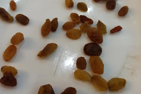 KENT DÜĞÜN SALONU - Resim 14
