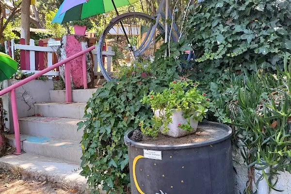 Kadıköy Kedi Oteli&Pet Shop - Resim 6