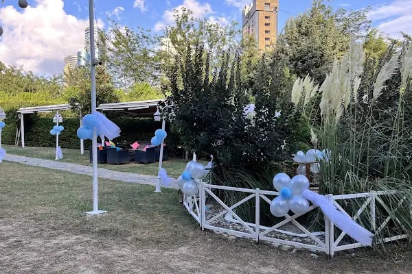 Süslü Konak - Resim 13