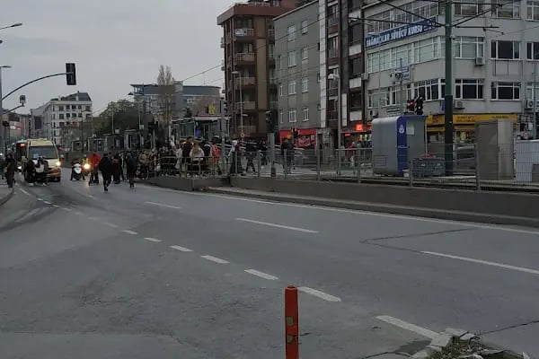 Sağmalcılar - Resim 18