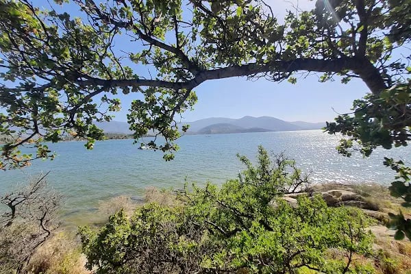 Bafa Gölü Tabiat Parkı - Resim 20