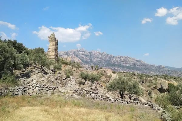 Bafa Gölü Tabiat Parkı - Resim 9