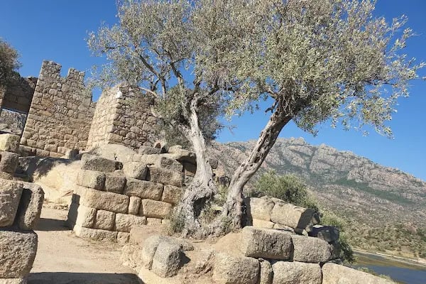 Bafa Gölü Tabiat Parkı - Resim 15