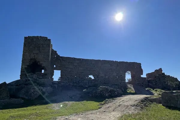 Bafa Gölü Tabiat Parkı - Resim 7