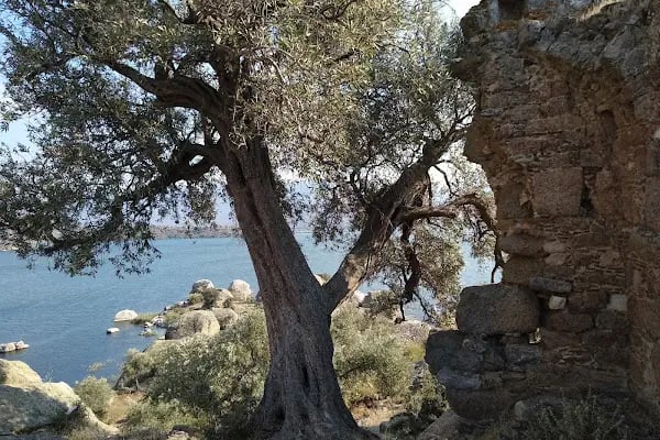 Bafa Gölü Tabiat Parkı - Resim 6