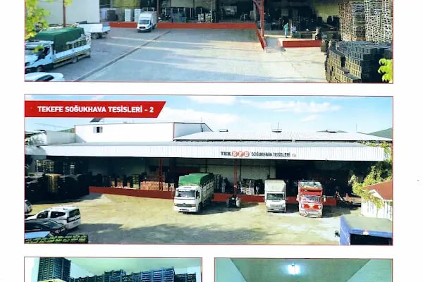 HACIOĞLU TARIM ÜRÜNLERİ &amp; SOĞUK HAVA DEPOSU - Resim 17