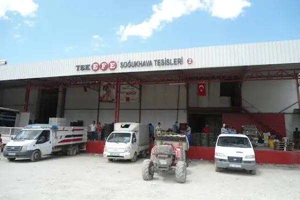 HACIOĞLU TARIM ÜRÜNLERİ &amp; SOĞUK HAVA DEPOSU - Resim 5
