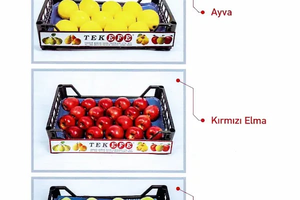HACIOĞLU TARIM ÜRÜNLERİ &amp; SOĞUK HAVA DEPOSU - Resim 18