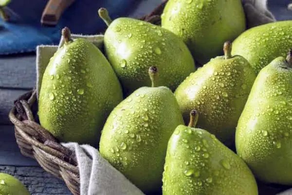 HACIOĞLU TARIM ÜRÜNLERİ &amp; SOĞUK HAVA DEPOSU - Resim 13