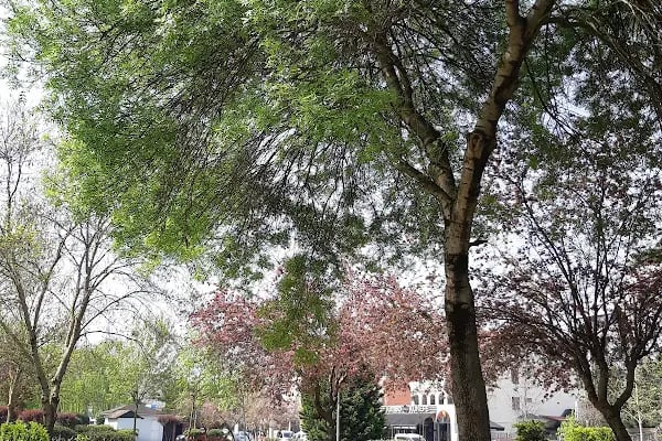 İZMİT KIZILAY KAN MERKEZİ - Resim 9