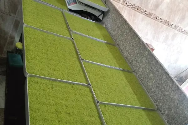 Babacan şam tatlı - Resim 12