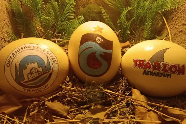 Trabzon Kuş Parkı - Resim 18