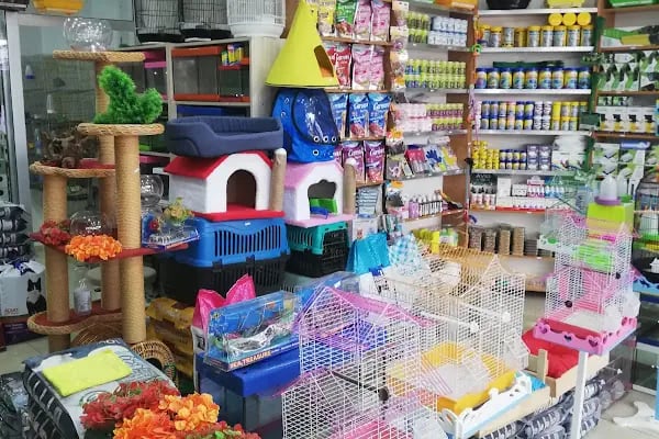 Eymen Pet Shop &amp; Akvaryum - Resim 13